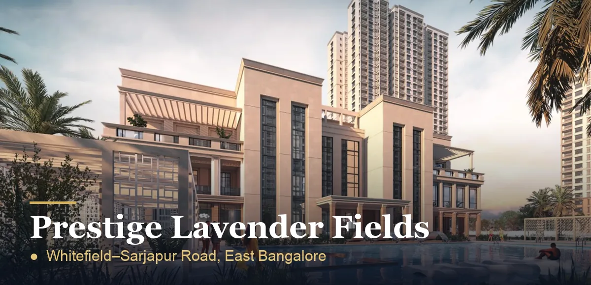 Prestige Lavender Fields