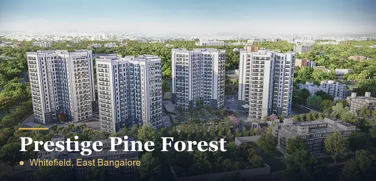 Prestige Pine Forest