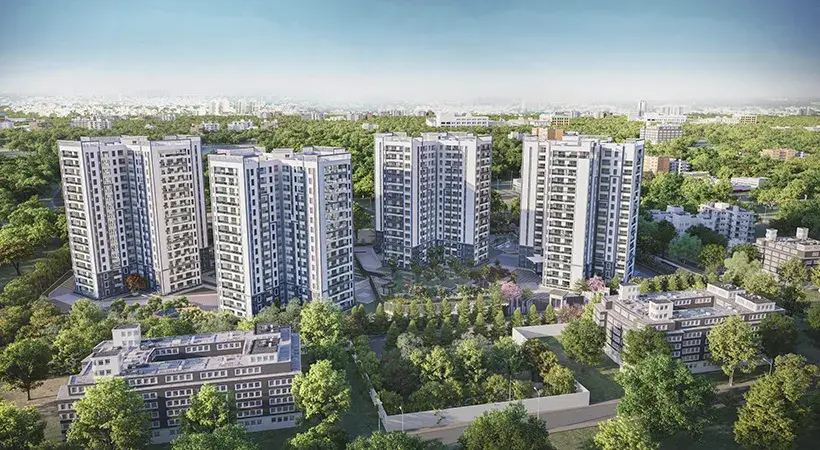 Prestige Pine Forest